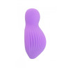 Mini vibro rechargeable EnchantedDesire violet - FairyGasm