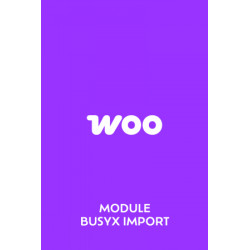 Module Busyx Import Woo Commerce