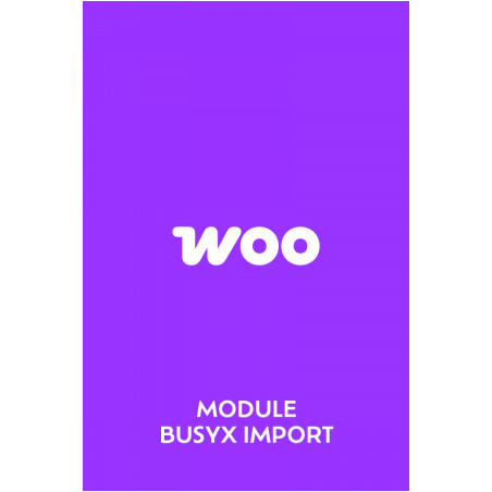 Module Busyx Import Woo Commerce