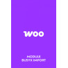 Module Busyx Import Woo Commerce